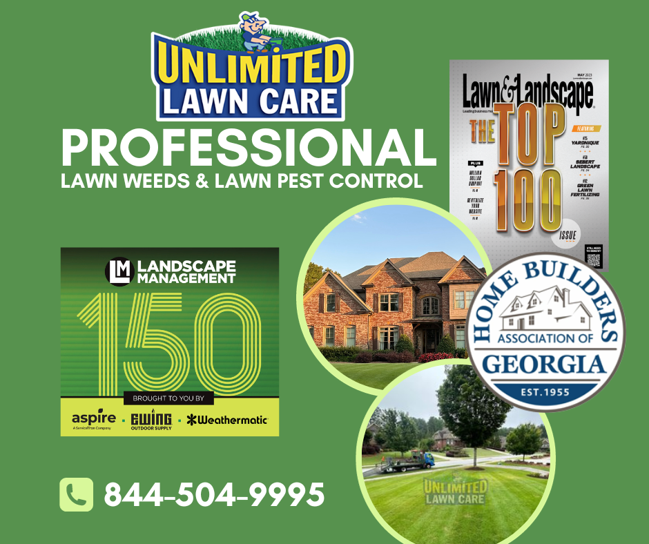 Professional-Lawn-Care-Weed-Control Professional-Lawn-Care-Weed-Control